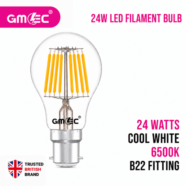 24W LED Filament Bulb B22