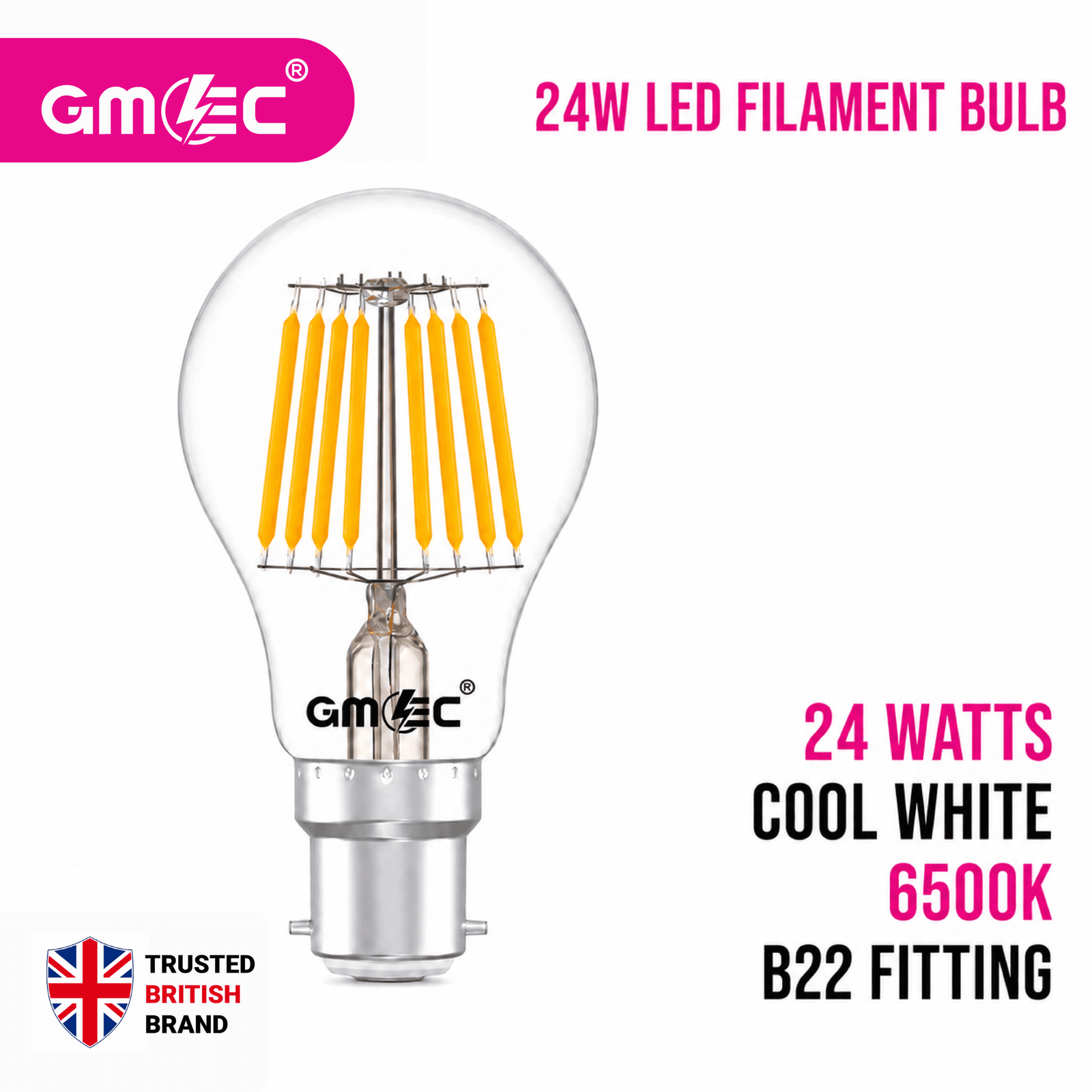 24W LED Filament Bulb B22