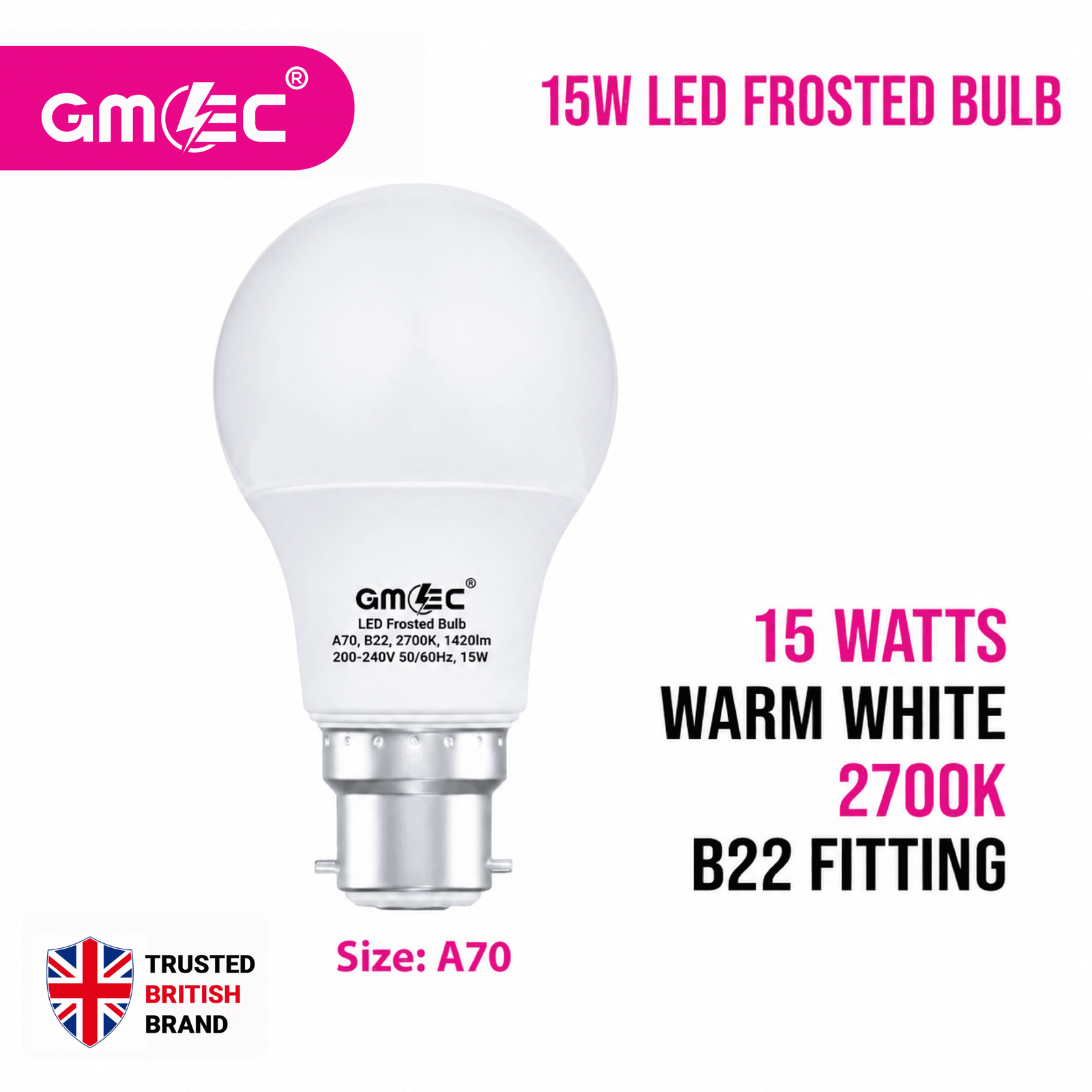 15W LED Frosted Bulb B22 Warm White