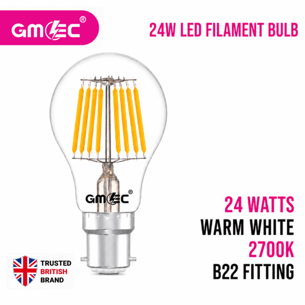 24W LED Filament Bulb B22