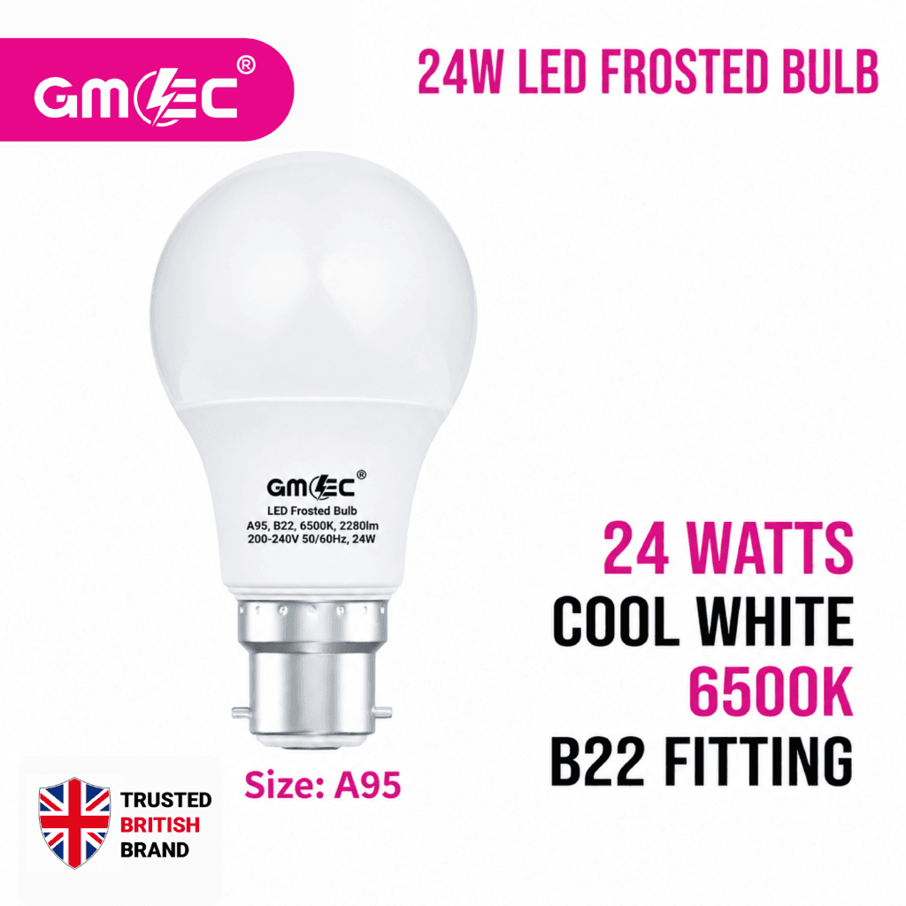 24W B22 LED Frosted Bulb Cool White