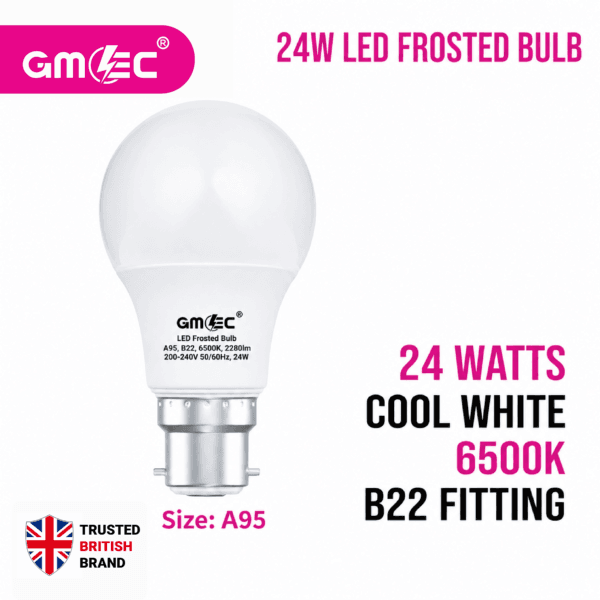 24W B22 LED Frosted Bulb Cool White
