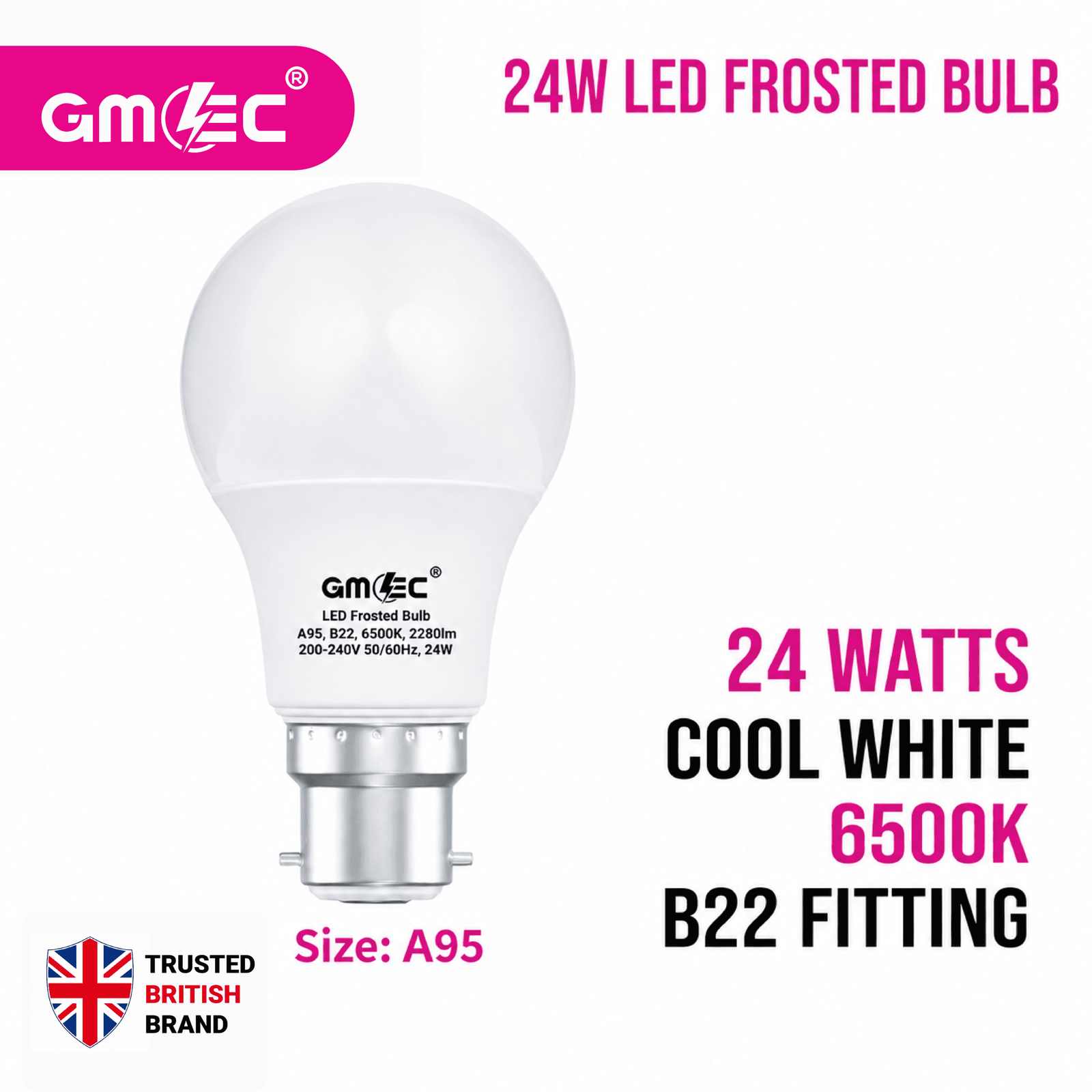 24W B22 LED Frosted Bulb Cool White