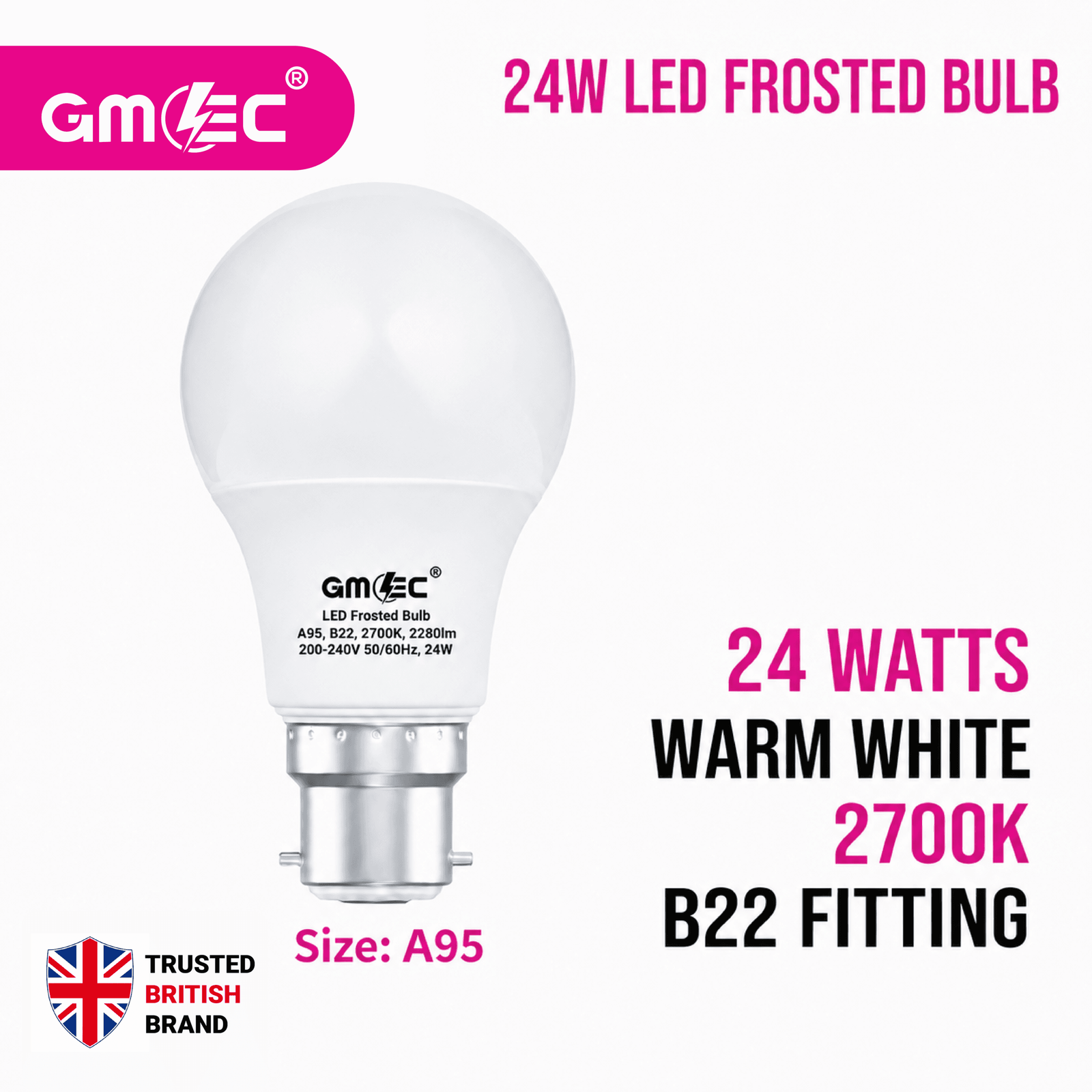24W B22 LED Frosted Bulb Warm White